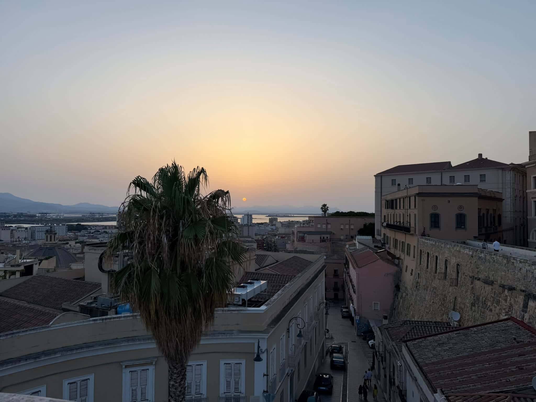 Sunset over the rooftops of Cagliari, with a palm tree in the foreground